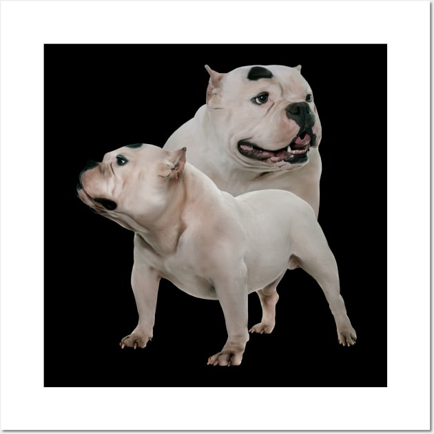 American Bully Wall Art by Nartissima